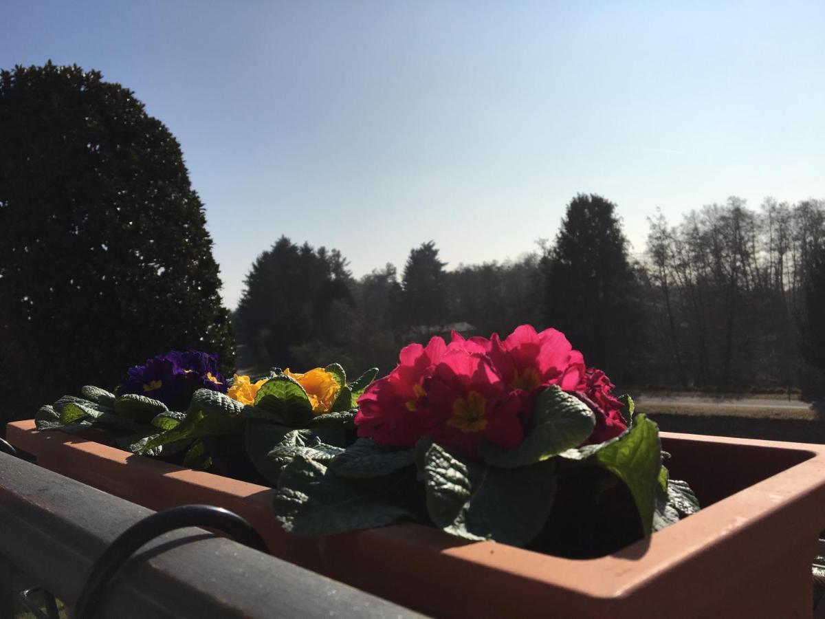 La Terrazza Sul Naviglio B&B Bernate Ticino Extérieur photo